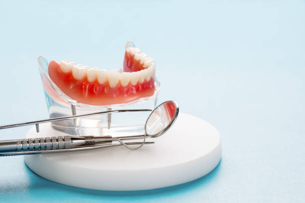 Professional  Holistic Dental Services in Alturas, FL